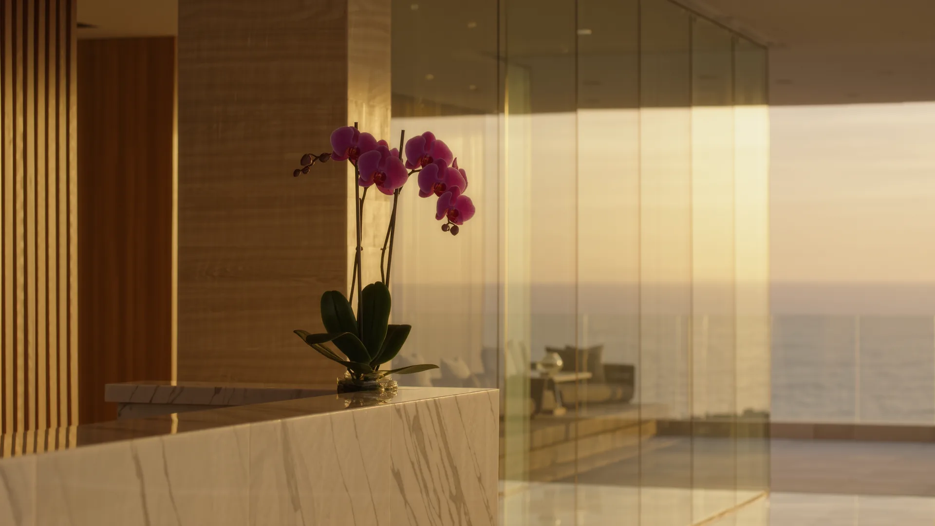 Clinic reception with an orchid and a glass wall in a calm bright tone