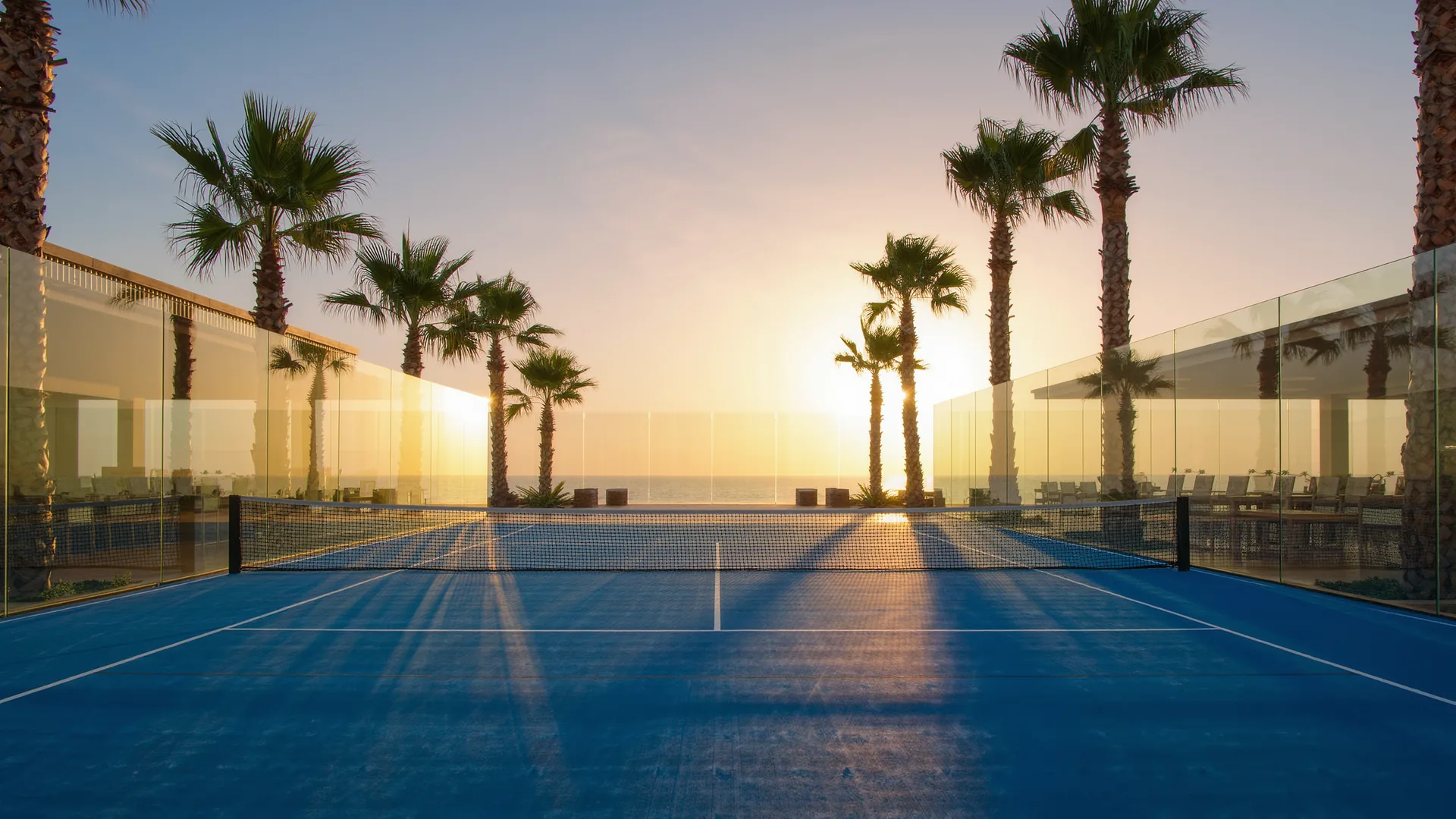 Padel court with glass walls and a blue surface among palm trees