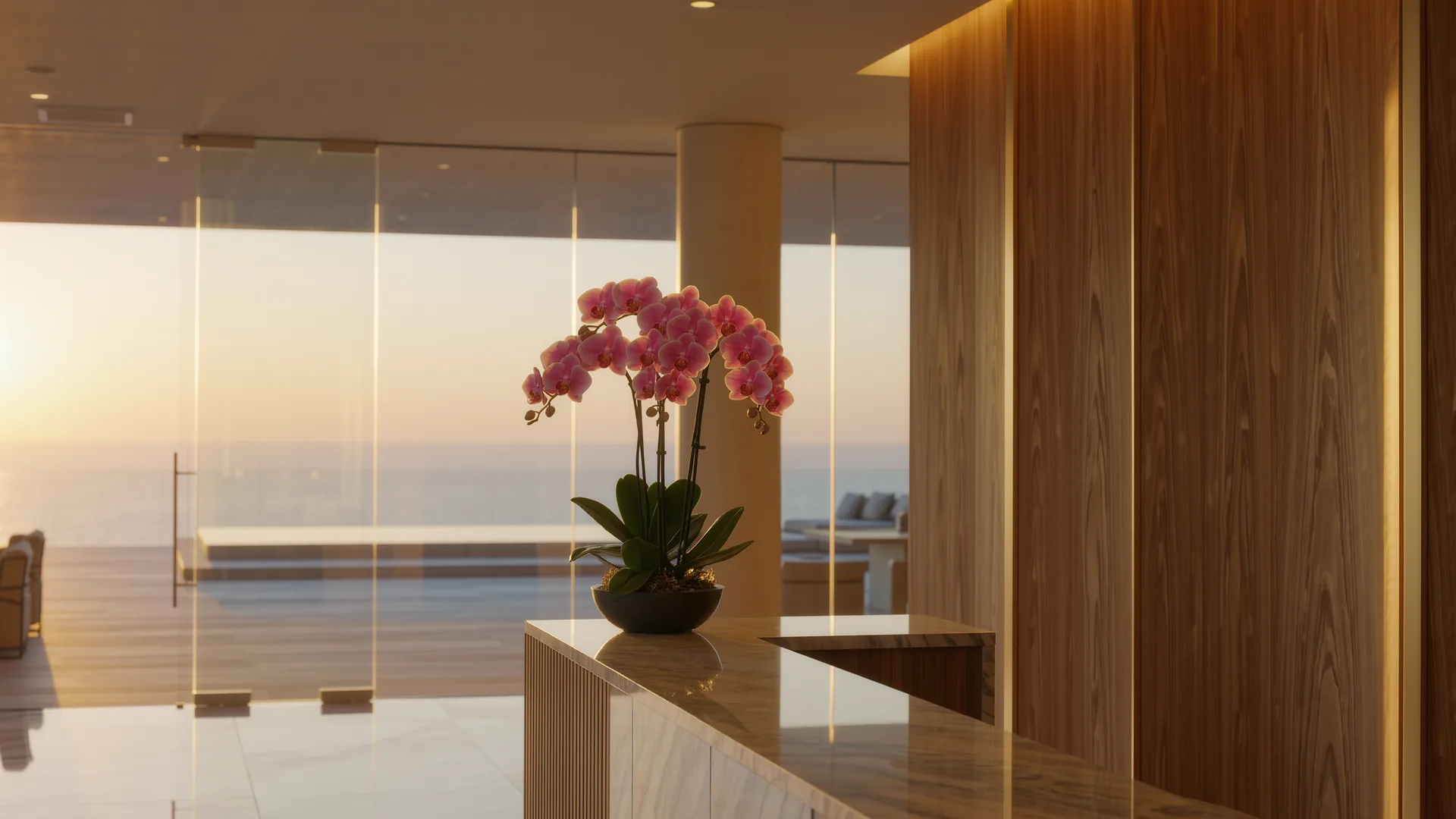 Clinic reception with an orchid and a glass wall in a calm bright tone